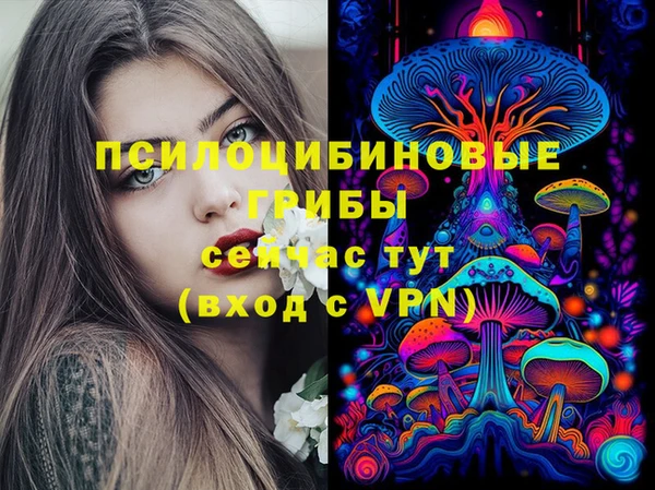 МДПВ Слюдянка