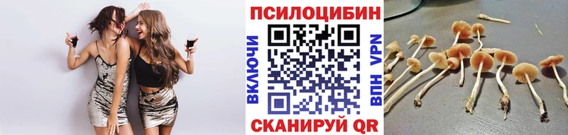 Псилоцибиновые грибы Psilocybe  Любань 